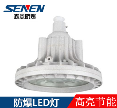 BSX86-D高亮節能免維護led防爆燈
