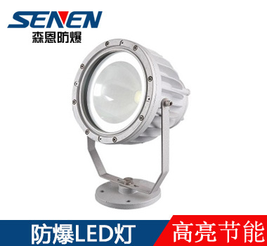 BSX86-100W防爆投光燈 BSX86-100W防爆投光燈